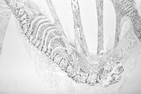 doublehelix detail