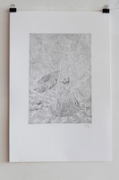 i only pollinate now, etching, 23x34 cm, 2022