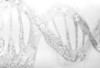 doublehelix detail