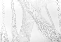doublehelix detail