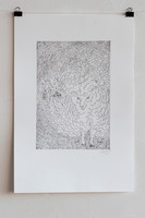the modified, etching, 23x34 cm, 2022